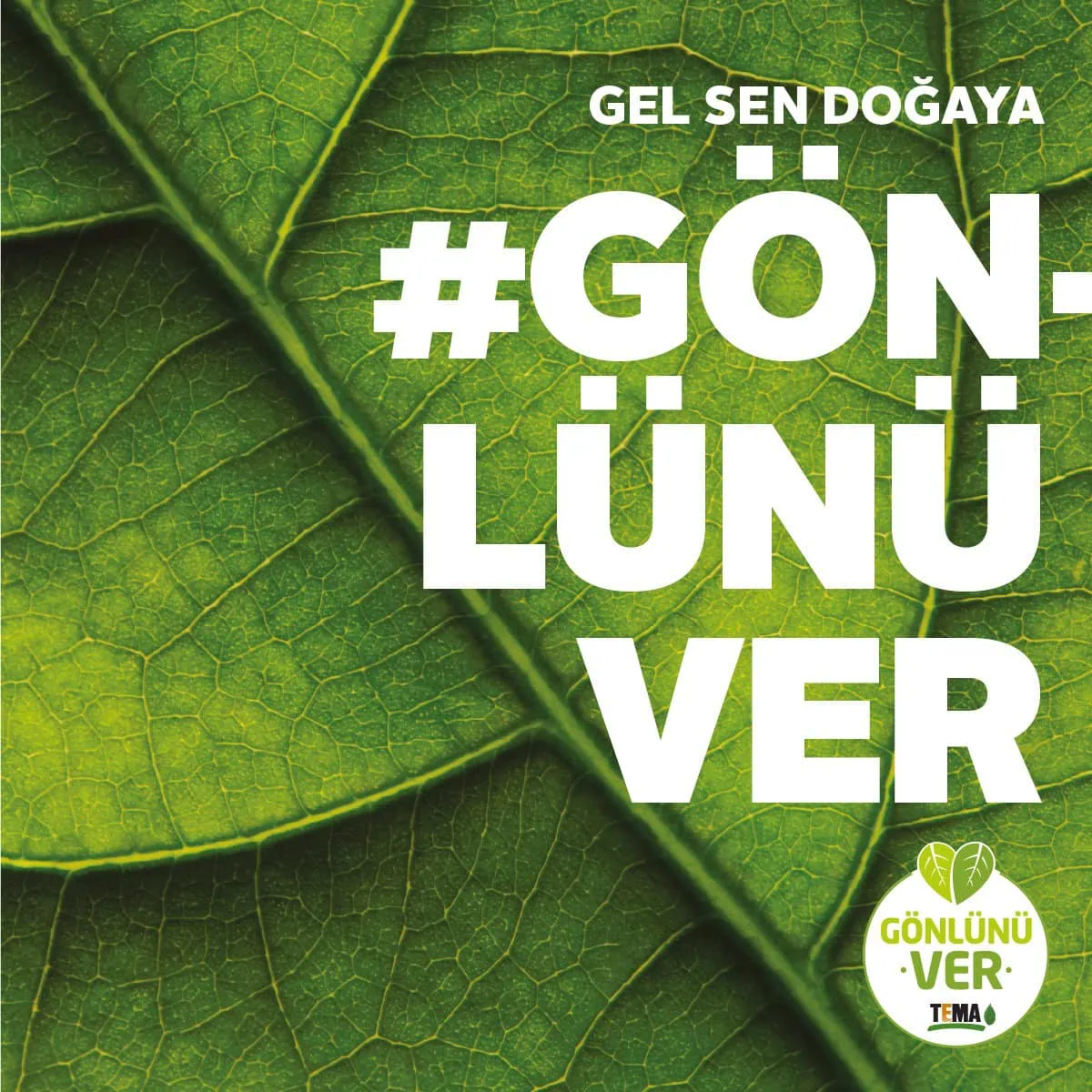 Tema Gönüllüsü Ol