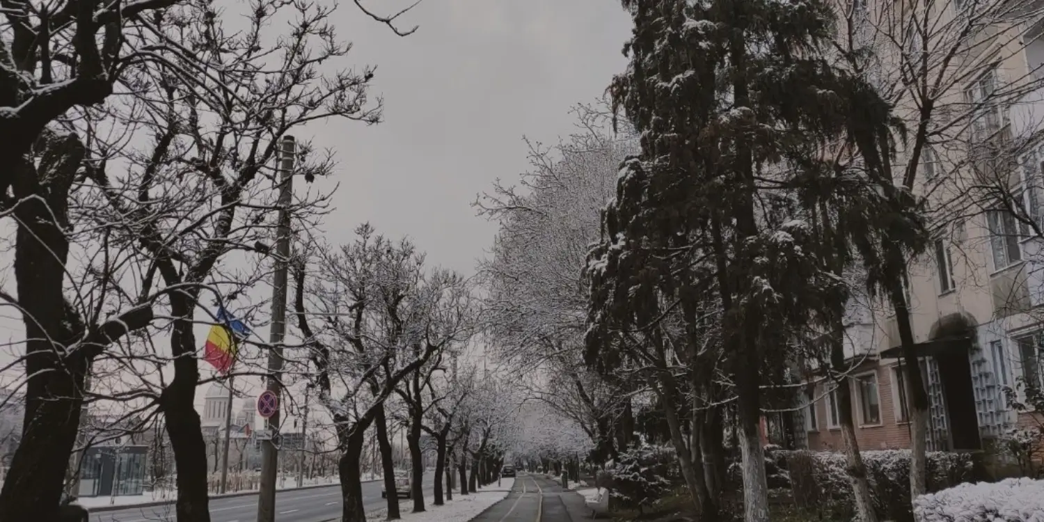 Baia Mare'de karlı sokak