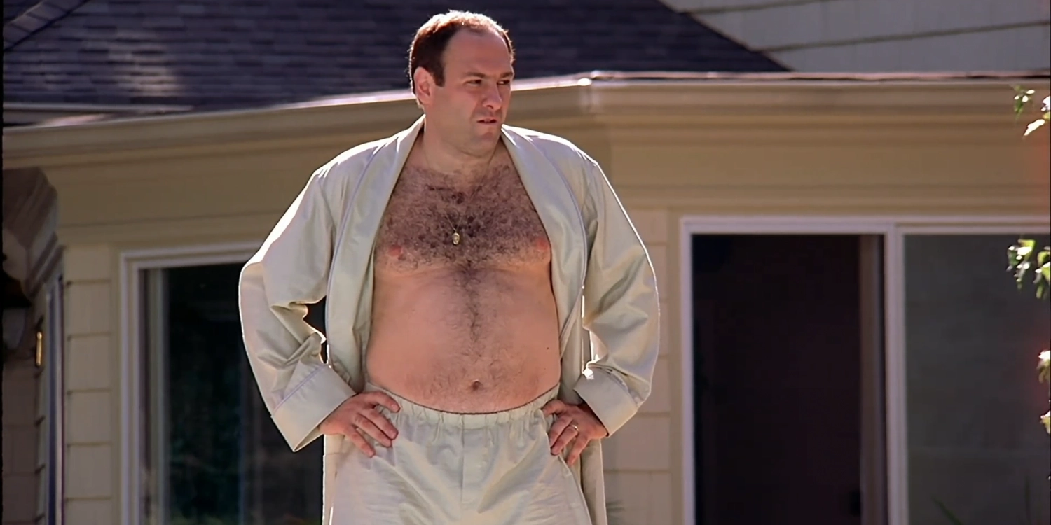 The Sopranos | Tony Soprano karakteri